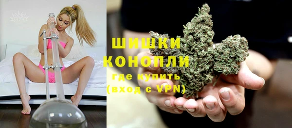 мдпв Горнозаводск