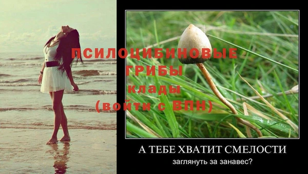марихуана Горно-Алтайск