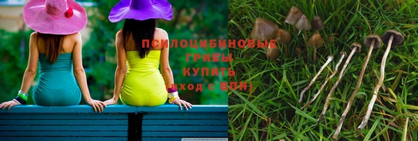 прущий лед Горняк